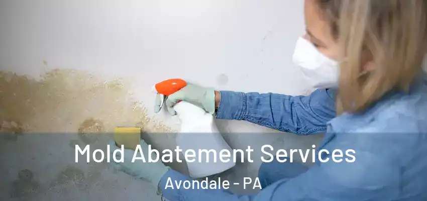  Mold Abatement Services Avondale - PA