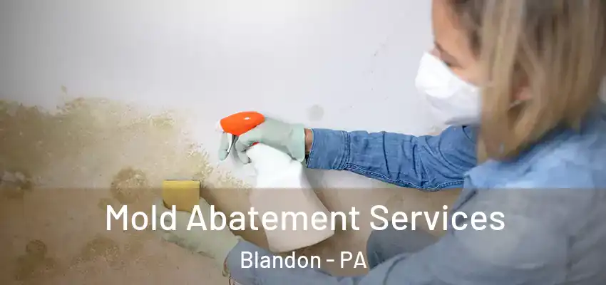  Mold Abatement Services Blandon - PA