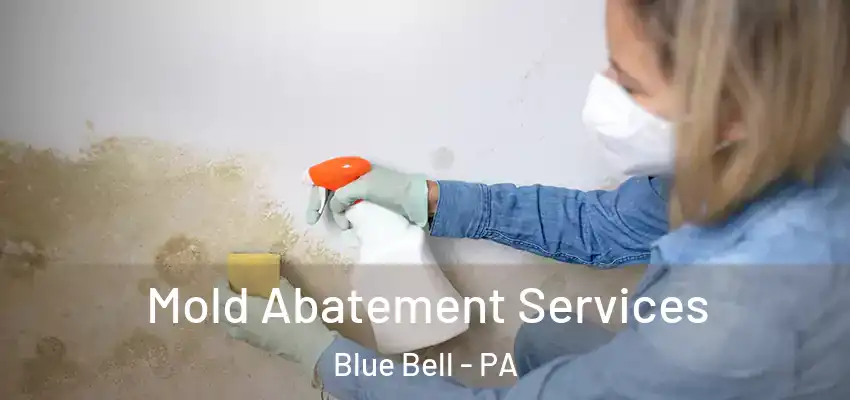  Mold Abatement Services Blue Bell - PA