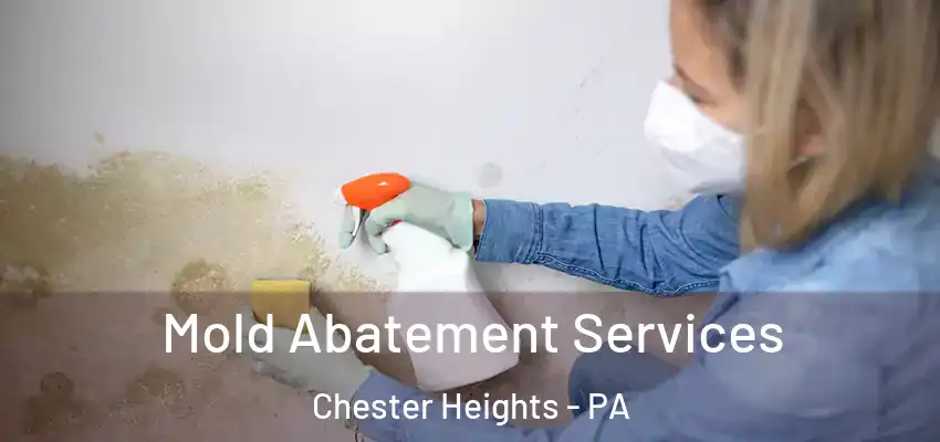 Mold Abatement Services Chester Heights - PA