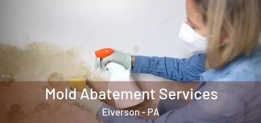  Mold Abatement Services Elverson - PA