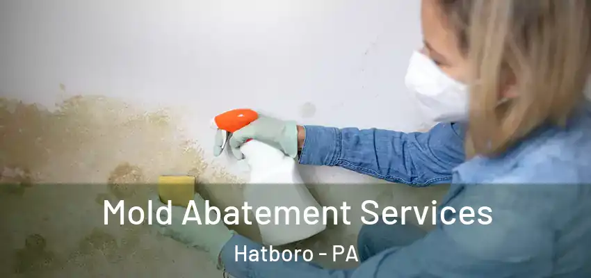Mold Abatement Services Hatboro - PA