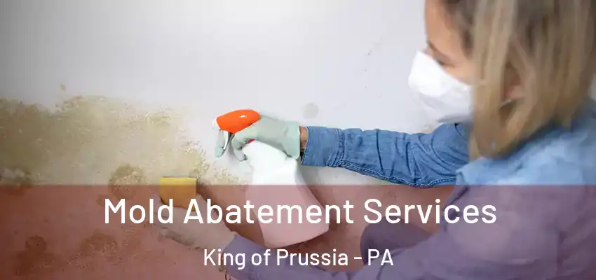 Mold Abatement Services King of Prussia - PA