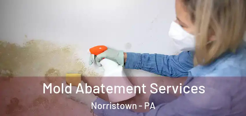 Mold Abatement Services Norristown - PA
