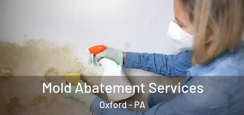  Mold Abatement Services Oxford - PA