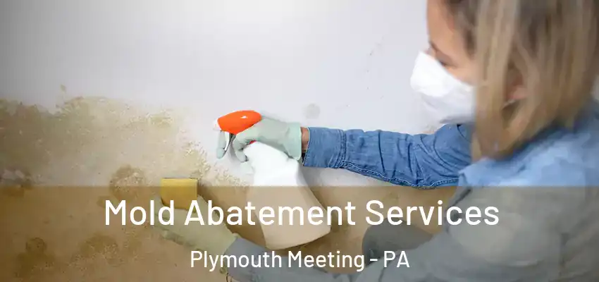 Mold Abatement Services Plymouth Meeting - PA