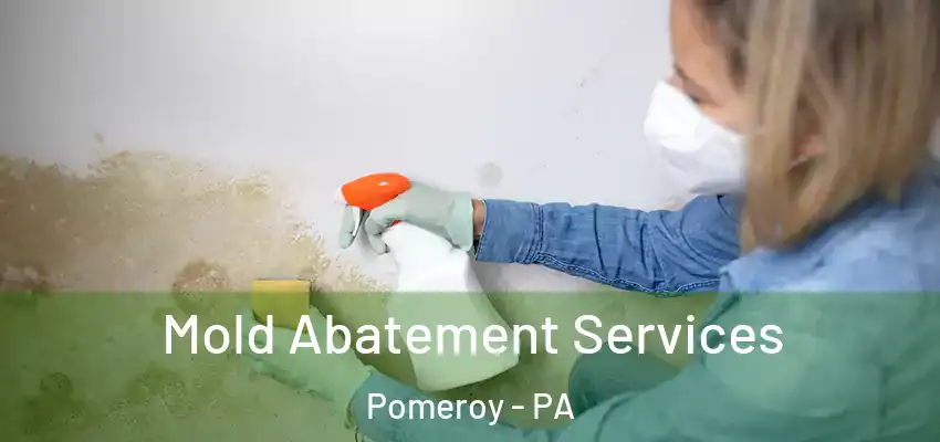  Mold Abatement Services Pomeroy - PA
