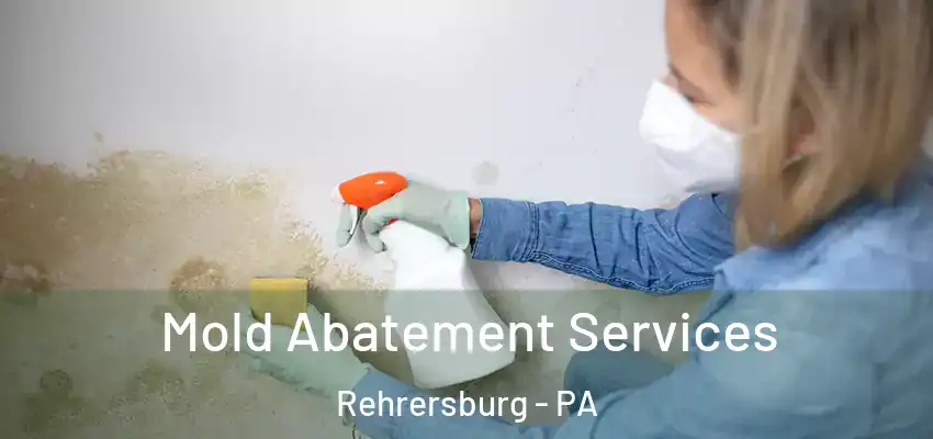 Mold Abatement Services Rehrersburg - PA