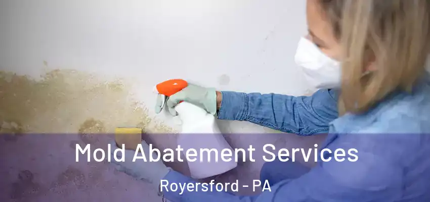 Mold Abatement Services Royersford - PA
