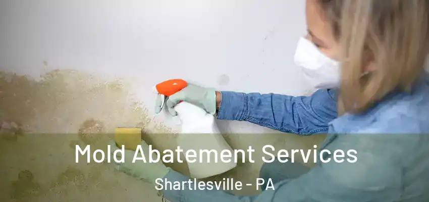 Mold Abatement Services Shartlesville - PA
