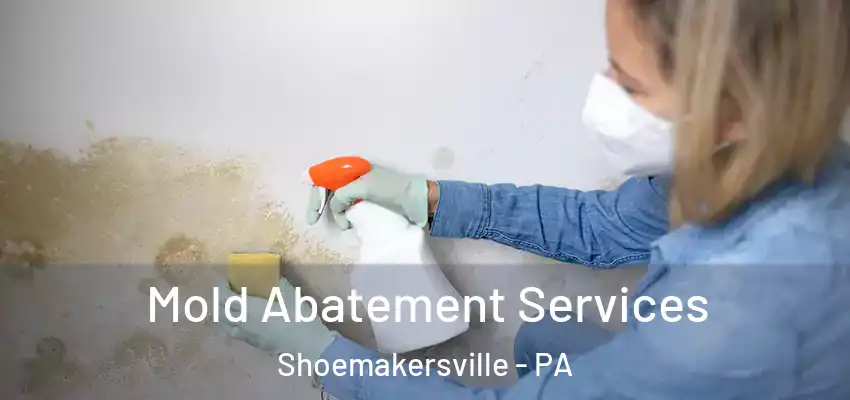 Mold Abatement Services Shoemakersville - PA