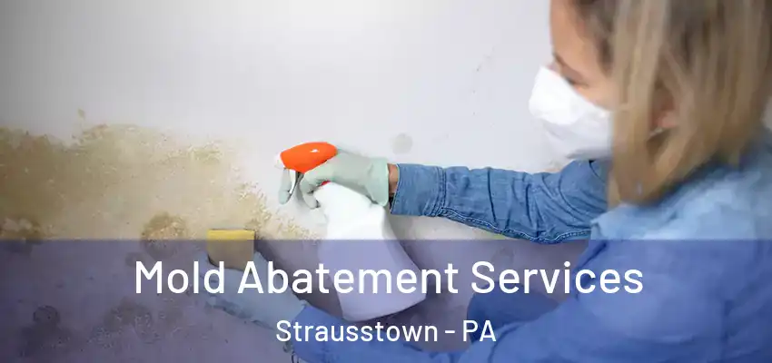 Mold Abatement Services Strausstown - PA