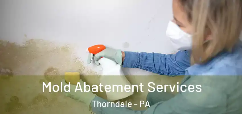 Mold Abatement Services Thorndale - PA