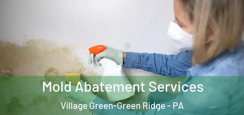 Mold Abatement Services Village Green-Green Ridge - PA