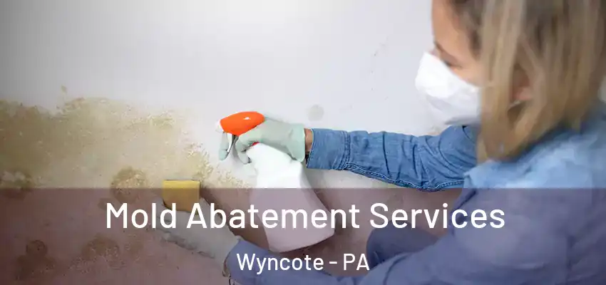  Mold Abatement Services Wyncote - PA