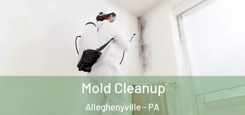 Mold Cleanup Alleghenyville - PA