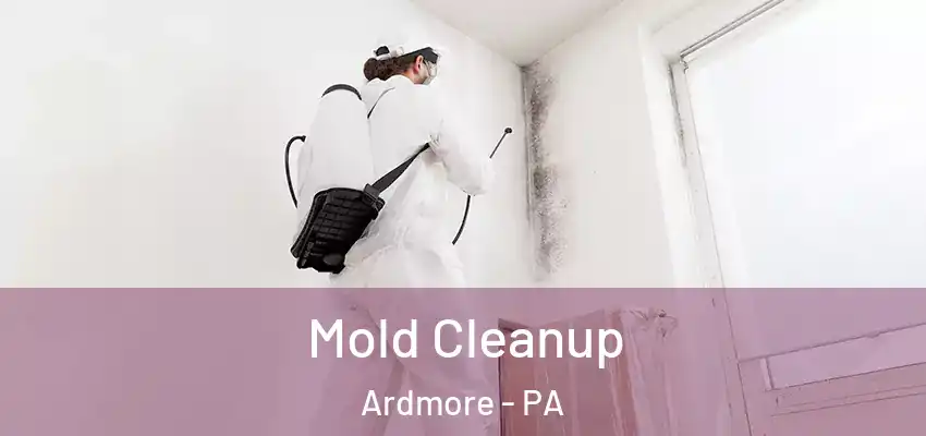  Mold Cleanup Ardmore - PA
