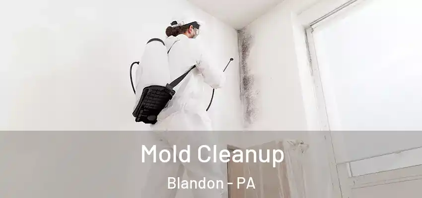 Mold Cleanup Blandon - PA