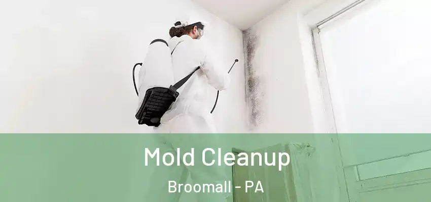 Mold Cleanup Broomall - PA