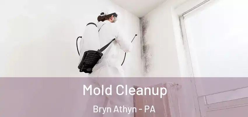 Mold Cleanup Bryn Athyn - PA