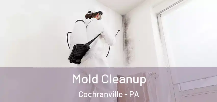  Mold Cleanup Cochranville - PA
