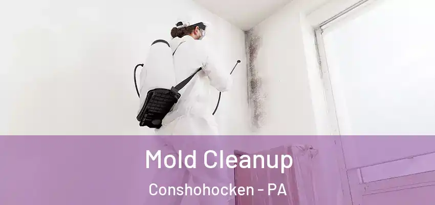 Mold Cleanup Conshohocken - PA