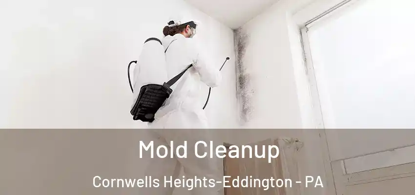 Mold Cleanup Cornwells Heights-Eddington - PA