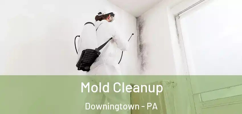  Mold Cleanup Downingtown - PA