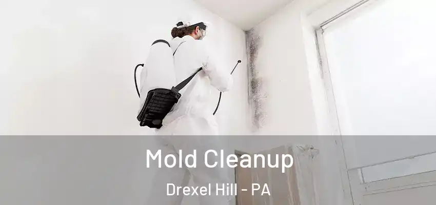 Mold Cleanup Drexel Hill - PA