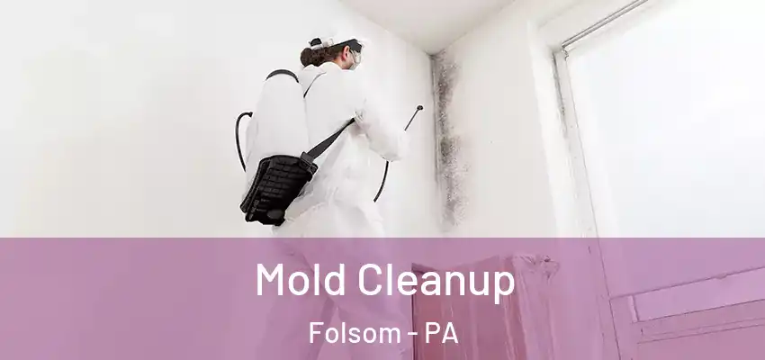  Mold Cleanup Folsom - PA
