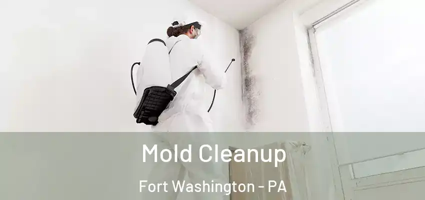  Mold Cleanup Fort Washington - PA