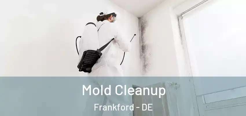 Mold Cleanup Frankford - DE