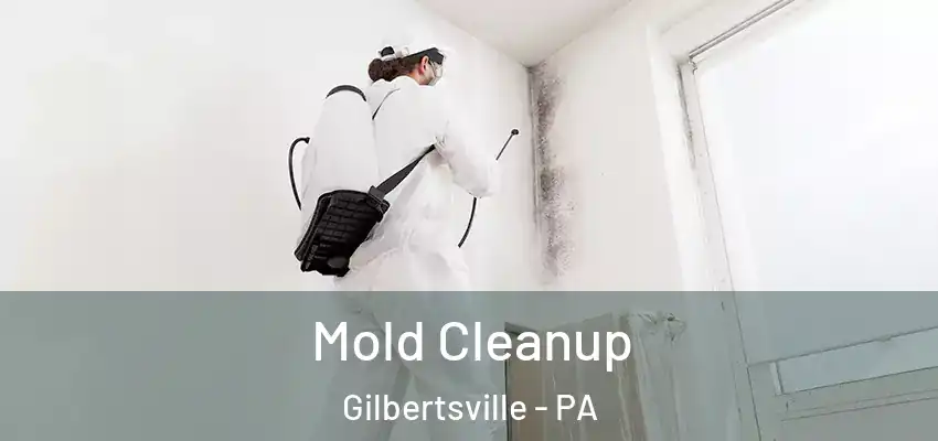  Mold Cleanup Gilbertsville - PA