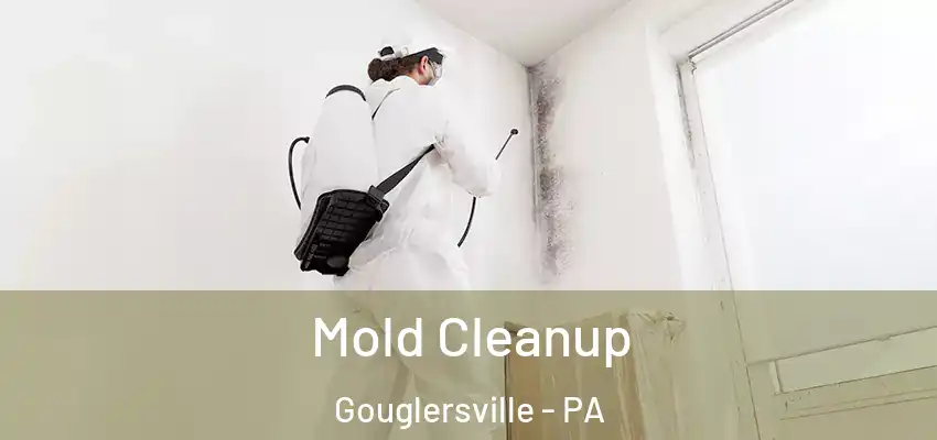 Mold Cleanup Gouglersville - PA
