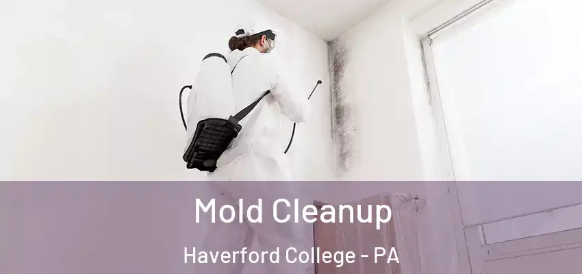 Mold Cleanup Haverford College - PA