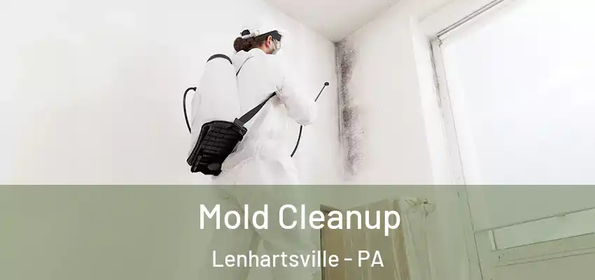  Mold Cleanup Lenhartsville - PA