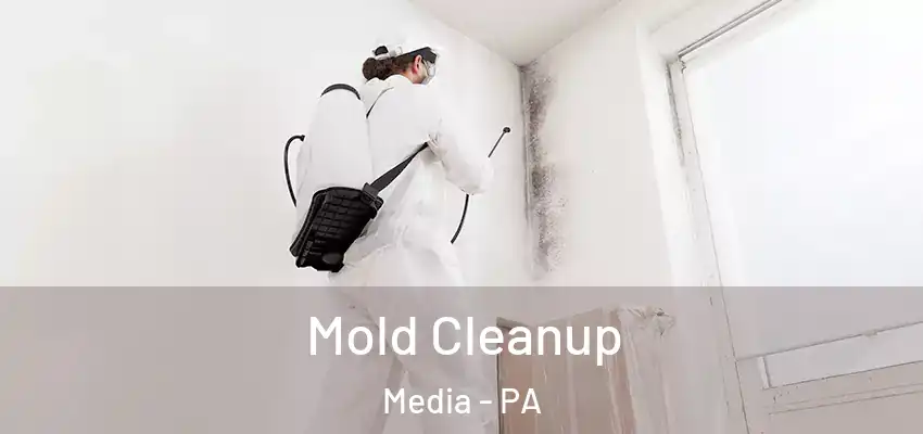 Mold Cleanup Media - PA