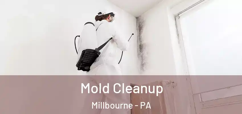 Mold Cleanup Millbourne - PA