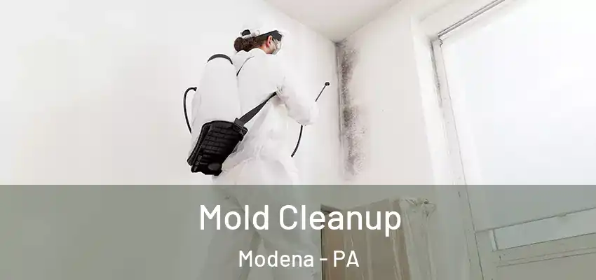 Mold Cleanup Modena - PA
