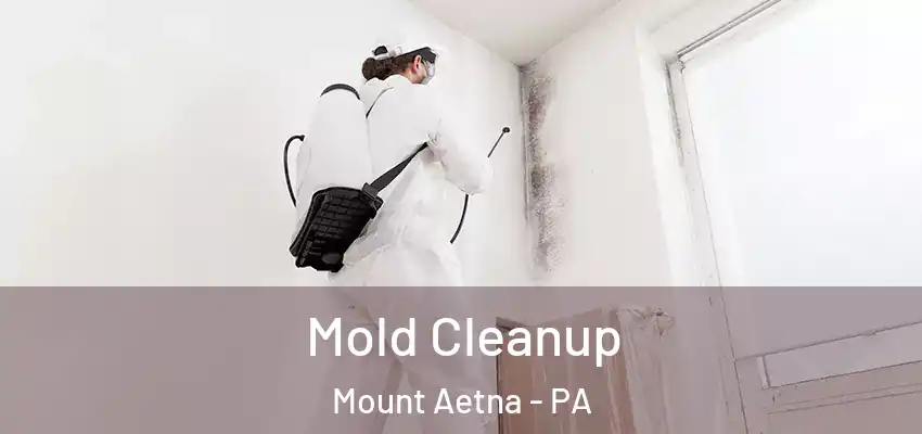 Mold Cleanup Mount Aetna - PA