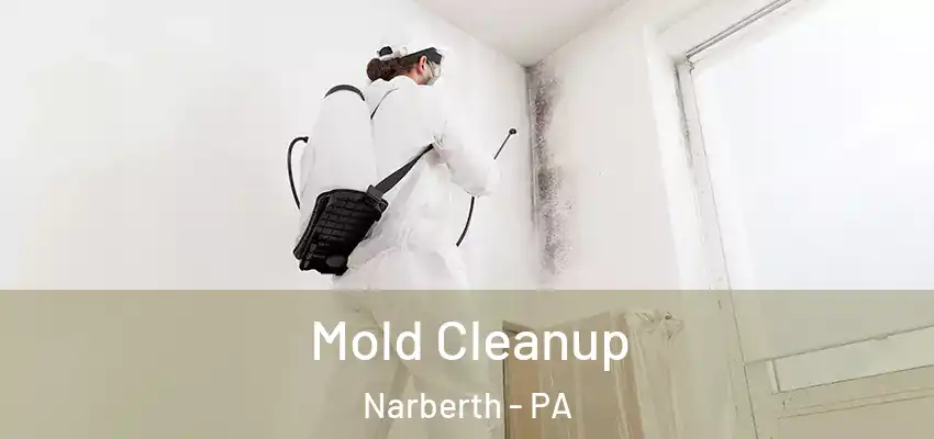 Mold Cleanup Narberth - PA
