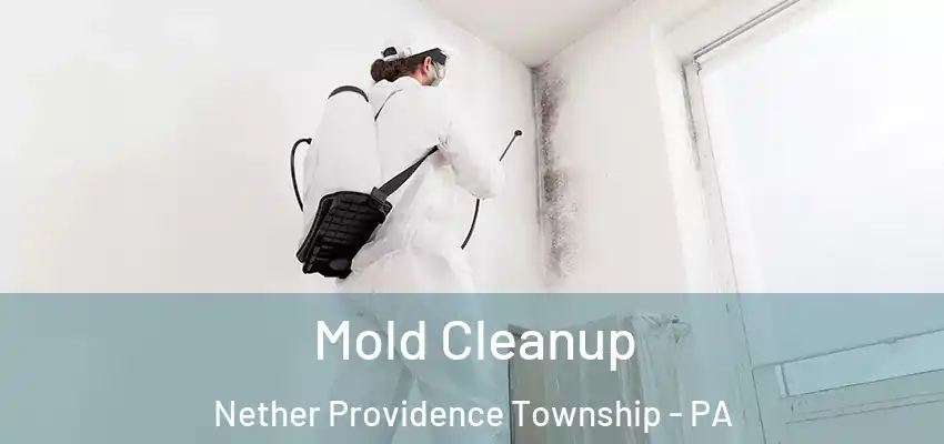  Mold Cleanup Nether Providence Township - PA