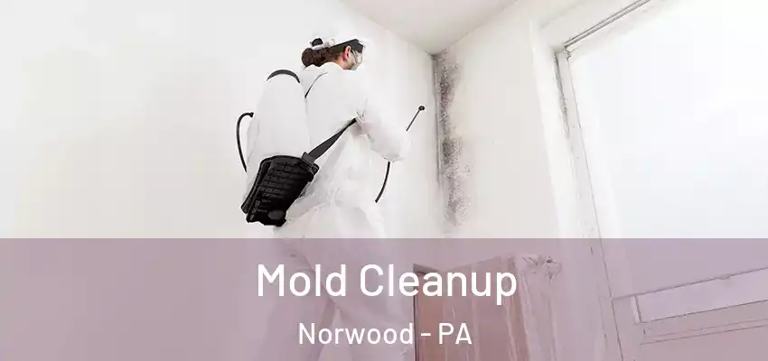 Mold Cleanup Norwood - PA
