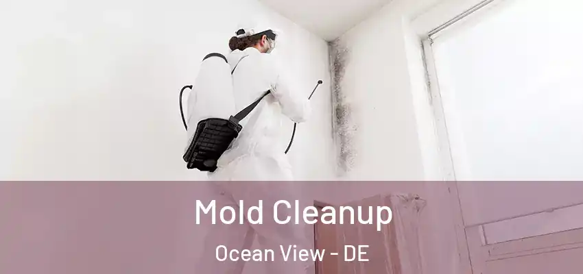  Mold Cleanup Ocean View - DE