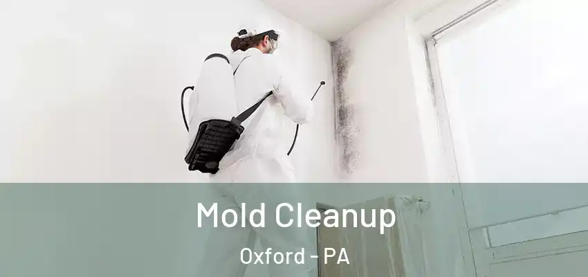 Mold Cleanup Oxford - PA