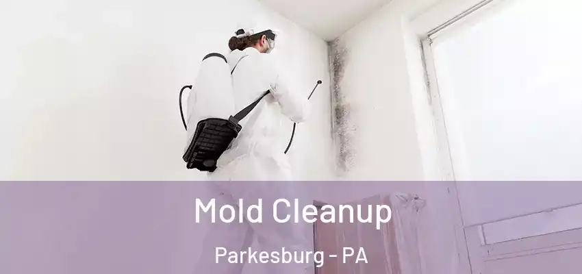Mold Cleanup Parkesburg - PA
