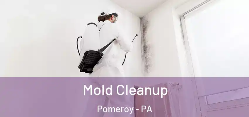Mold Cleanup Pomeroy - PA