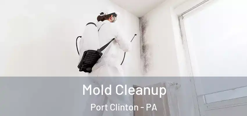 Mold Cleanup Port Clinton - PA