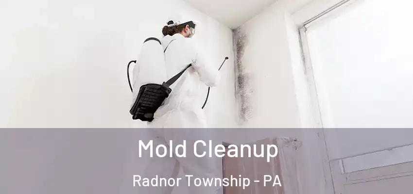 Mold Cleanup Radnor Township - PA