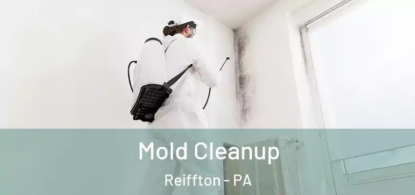  Mold Cleanup Reiffton - PA